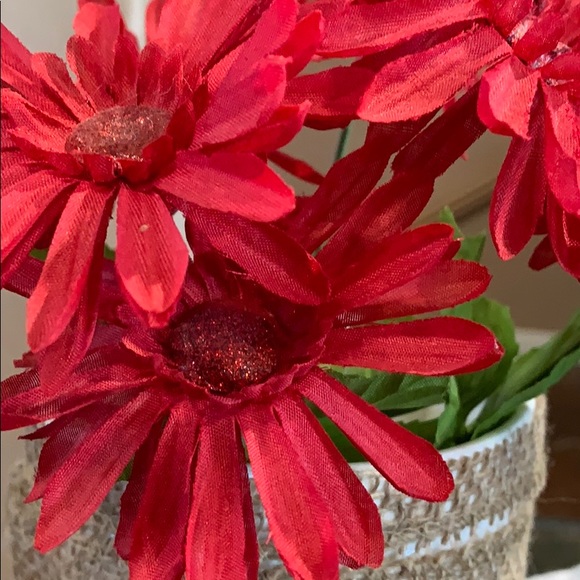 Meet your Posher, Sarena - Picture 1 of 1